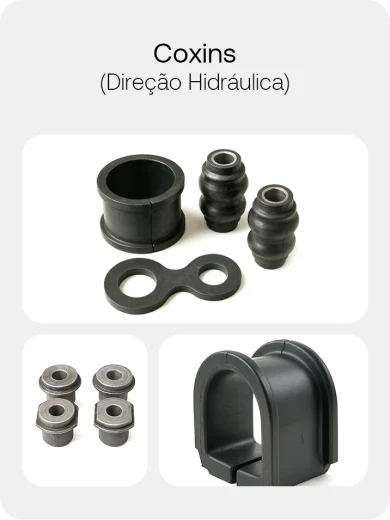 Coxins (Direção Hidráulica)