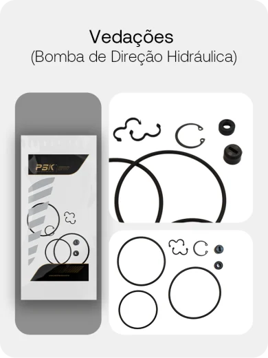 Vedação da bomba de direção hidraulica