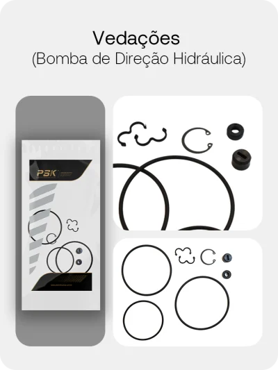 Vedação da bomba de direção hidraulica